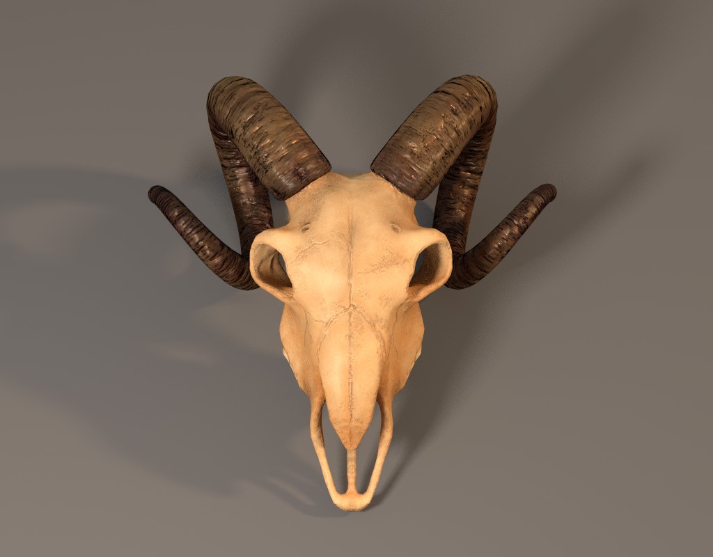 Goat skull preview image 1